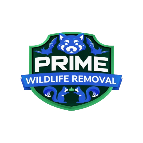 Prime Wildlife Removal